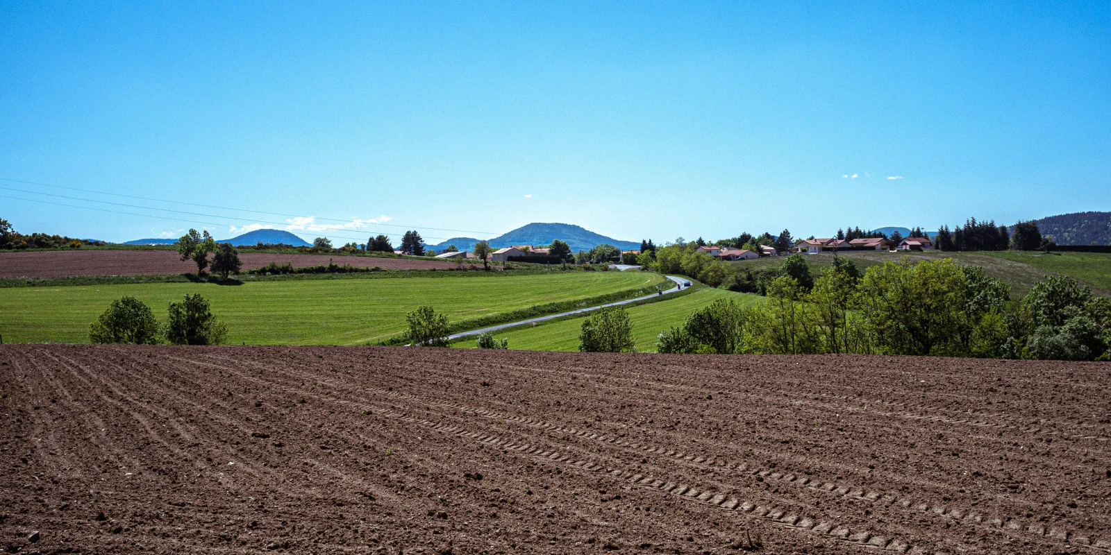 Langue et Cognition : Relations entre Langage et Pensée