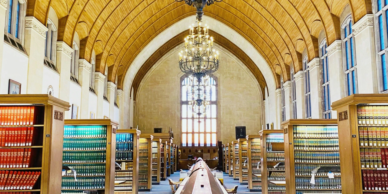 Lettre de Motivation Licence Sciences du Langage : Modèle Gratuit