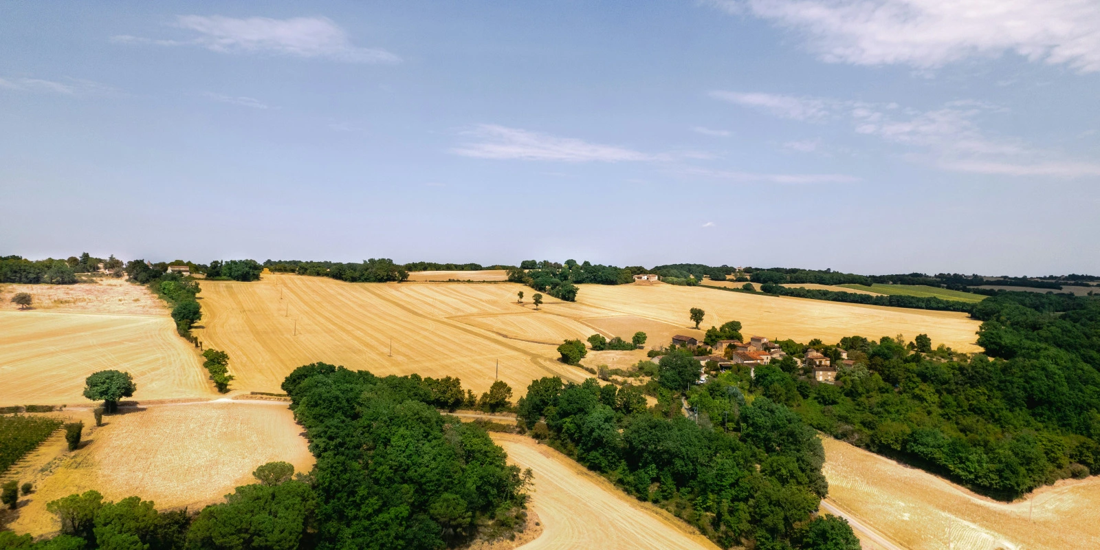 Licence Sciences du Langage à Nancy : Programme et Avis