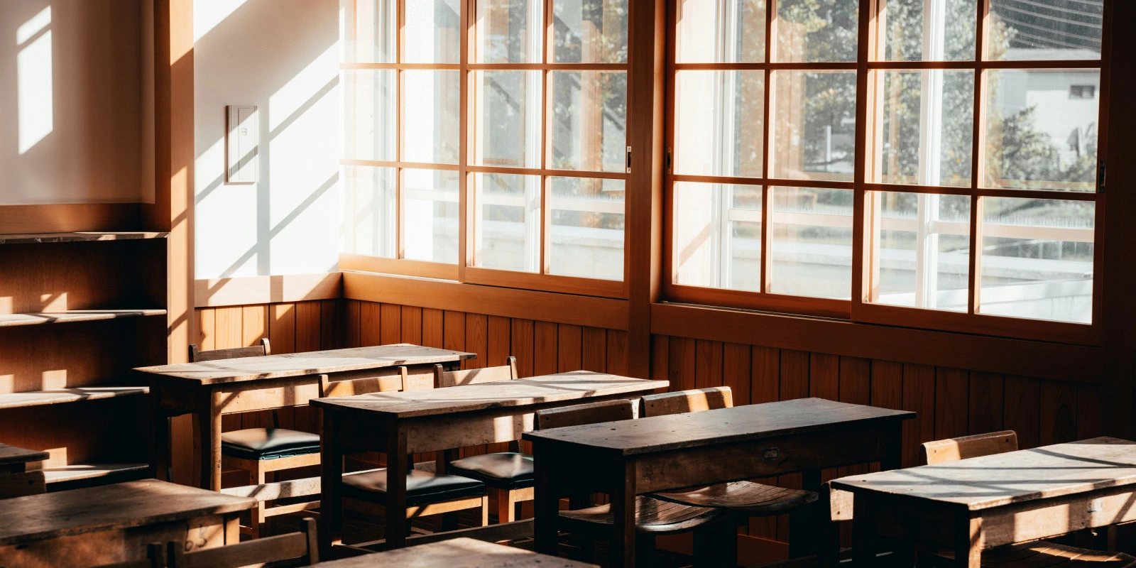 Licence Sciences du Langage : Programme et Débouchés